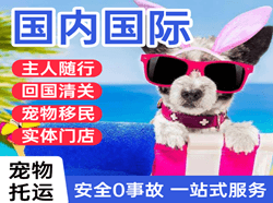 太平航空货运国际宠物托运 【国